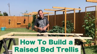 The best raised bed cucumber trellis for 15 [upl. by O'Connor905]