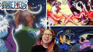 Akazaya Nine Cut Kaido  One Piece Episode 10003 1004 Reaction [upl. by Attiuqaj]