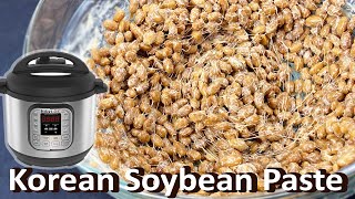 How to cook soybean paste stew정국장 cheonggukjang Fermented bean paste [upl. by Phira]