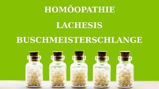 Homöopathie Lachesis  Buschmeisterschlange [upl. by Johannes]