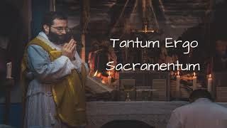 Tantum Ergo Sacramentum [upl. by Nevah]