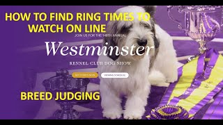 How to Watch Westminster Breed Judging How to Find the Ring Number and Time [upl. by Domonic]