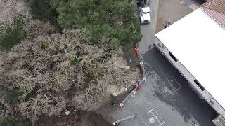 Drone Flyover 3 – Flood Recovery CleanUp Day [upl. by Kissner454]