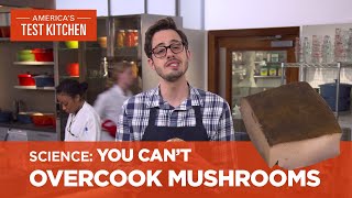 Dan Explains Why You Cant Overcook Mushrooms [upl. by Tawsha]