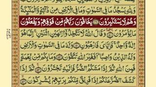 QuranPara1430Urdu Translation [upl. by Bo]