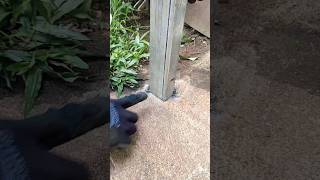 how professional welders install canopy poles strongly and neatly [upl. by Nalyorf]