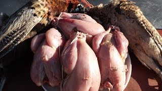 How To Prepare And Cook A PheasantPart 1 Bird Preparation [upl. by Evita]