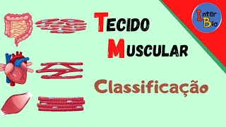 Tecido Muscular  Classificação [upl. by Saval215]