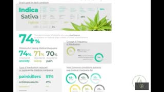 Understanding Your Endocannabinoid System Quick Guide Frank DAmbrosio MD  Green Flower [upl. by Herman]