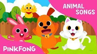 Baby Animals  Animal Songs  Pinkfong Songs for Children [upl. by Naihtsirc]