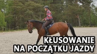 JAK ODZYSKAĆ MOTYWACJĘ DO JAZDY KONNEJ [upl. by Rinum194]