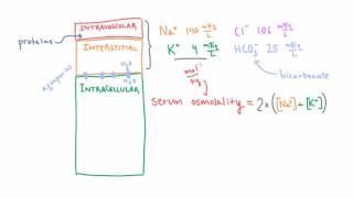 Estimating Serum Osmolality using a Simple Formula [upl. by Kowal]