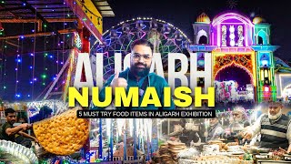 5 Must Try Food Items In Aligarh Numaish  Aligarh Exhibition 2024  Aligarh Food Vlog [upl. by Ress]