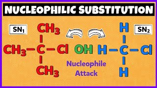 Nucleophilic Substitution Reactions  SN1 Reaction and SN2 Reaction [upl. by Argella]