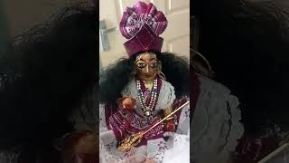 Laddu gopal ji short video 2024 ytshorts shortvideo youtubeshorts krishna [upl. by Soalokcin]