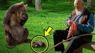 Injured Mama Bear Brought Her Dying Cub To This Man Then He Did Something Unbelievable [upl. by Aerdnaid]