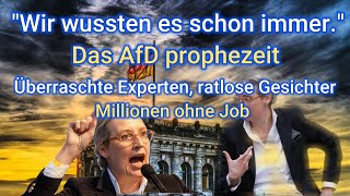 💥SongÜberraschte Experten ratlose Gesichter Die AfDquotWir wussten es schon immerquot💥PolitSatire [upl. by Carline4]