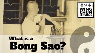 What is a Bong Sao  Wing Chun Technique Lesson [upl. by Mistrot]