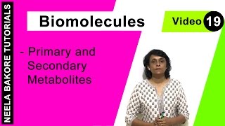 Biomolecules l Lecture 8 l Biology l NEET [upl. by Anirtep]