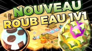 LE RETOUR DU ROUBLARD EAU EN 1V1 SUR DOFUS MAJ 270 [upl. by Orravan]