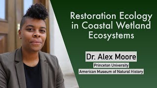 Alex Moore Princeton AMNH Restoration Ecology in Coastal Wetland Ecosystems [upl. by Ojaras]