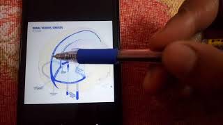 DURAL VENOUS SINUSES simplest explanation part 2 [upl. by Naud278]