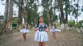 LAS GAVIOTITAS  NO SE PUEDE CONVIVIR VIDEO OFICIAL 2013 [upl. by Atinrahs]