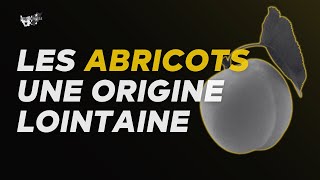 Les abricots viennent de loin… Très loin [upl. by Fabrin]