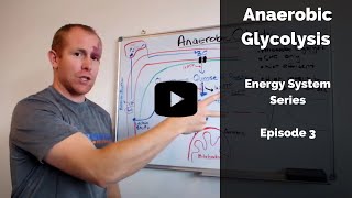 Anaerobic glycolysis [upl. by Hairom878]