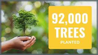 Over 92000 Trees Planted by Amoria Bond [upl. by Harwill]