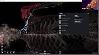 Physiology on the Anatomage Table [upl. by Atirac]