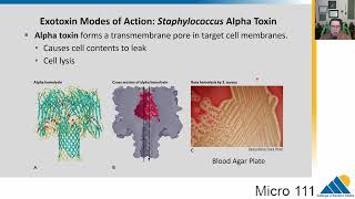 MICRO 111 Ch184 Host Damage and Manipulation  Introductory Microbiology [upl. by Ettenwahs996]