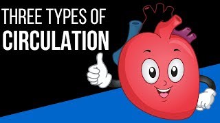 Three types of circulation in the body [upl. by Cartwright]