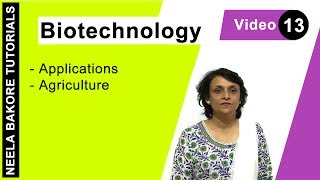 Biotechnology  NEET  Applications in Agriculture  Neela Bakore Tutorials [upl. by Lahsiv]