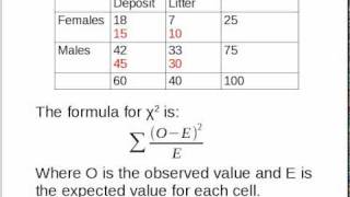 Simple Explanation of ChiSquared [upl. by Connel]