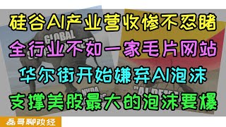 AI泡沫开始破裂！硅谷AI产业营收加一起不如一家毛片网站，华尔街竟然开始嫌弃AI泡沫，支撑美股最大的泡沫要破，美国7家公司市值竟然超过美国50GDP！美股泡沫还能靠印钞维持吗？ [upl. by Kinny]