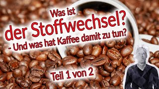 Der Stoffwechsel im Fokus  Teil 1  Wirkung von Kaffee auf den Stoffwechsel [upl. by Stoller]