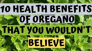 Oregano  10 Health Benefits of Oregano [upl. by Surtemed]