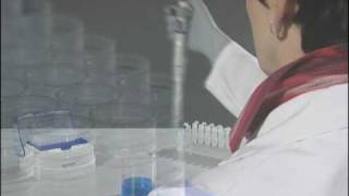 How to use the Reverse Pipetting technique with Eppendorf Research® plus mechanical pipettes [upl. by Yajiv972]