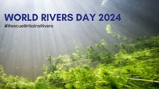 WORLD RIVERS DAY 2024 🌍 [upl. by Onaicilef]