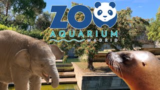 4K ZOO AQUARIUM DE MADRID [upl. by Sheeb]