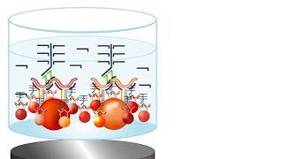 Invitrogen QuantiGene Plex Assay How It Works [upl. by Ahsehat]