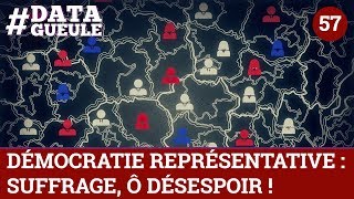 Démocratie représentative  suffrage Ô désespoir  DATAGUEULE 57 [upl. by Aicercul]