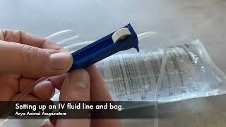 How to Set Up an Intravenous IV Fluid Bag For Your Pet At Home [upl. by Avlem]