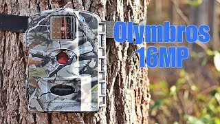 Olymbros 16MP Trail Camera Field Test and Review [upl. by Buhler881]