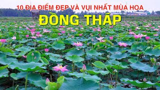 DU LỊCH và KHÁM PHÁ ĐỒNG THÁP đến 10 Địa Điểm Vui và Đẹp Nhất Mùa Hoa Đồng Tháp Top 10 in Dong Thap [upl. by Nnayelsel]