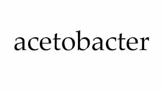 How to Pronounce acetobacter [upl. by Hplar119]