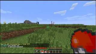 Minecraft server plugin pokeball [upl. by Yesrod]