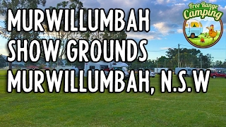 Murwillumbah Showgrounds Camping Murwillumbah NSW [upl. by Galven]