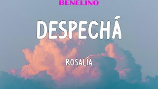 Rosalía  DESPECHÁ VIDEO LYRIC  Mira qué fácil te lo voa decir [upl. by Ateekal]